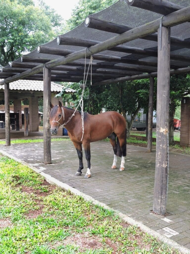 INSTALAÇÕES (12)